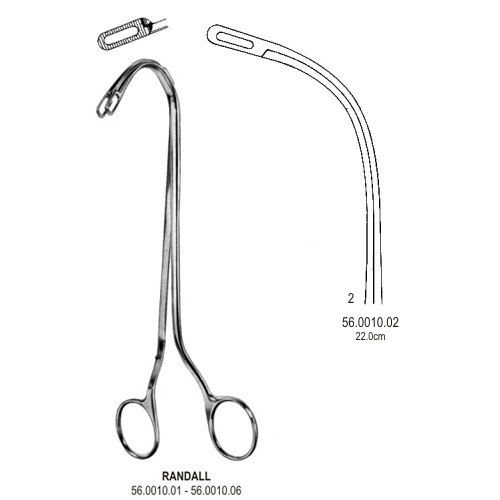 Gall Bladder